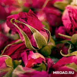 Цветы Красной Розы / Мэй Гуй